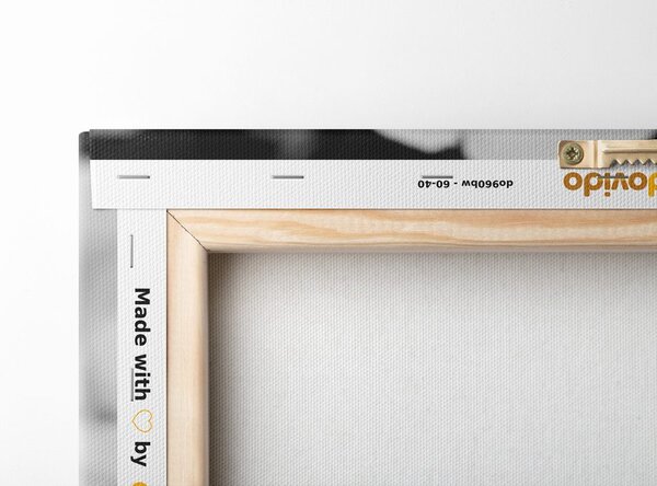 Tablou plin de trandafiri în design alb-negru