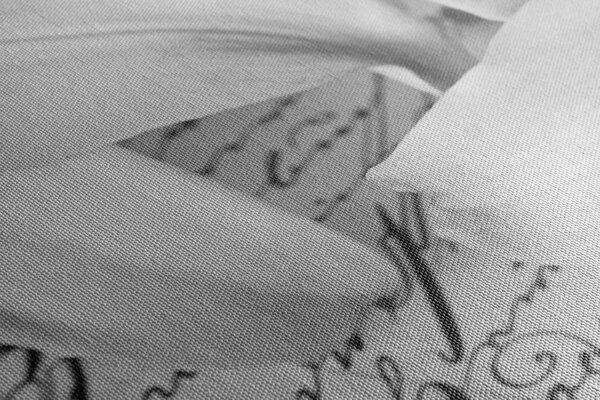 Tablou crin pe un document vechi în design alb-negru