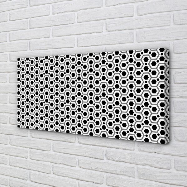Tablouri canvas hexagoane
