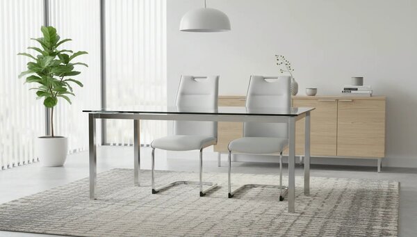 Scaun TOSENA, gri deschis/crom, piele ecologica/metal, 44x61x98 cm