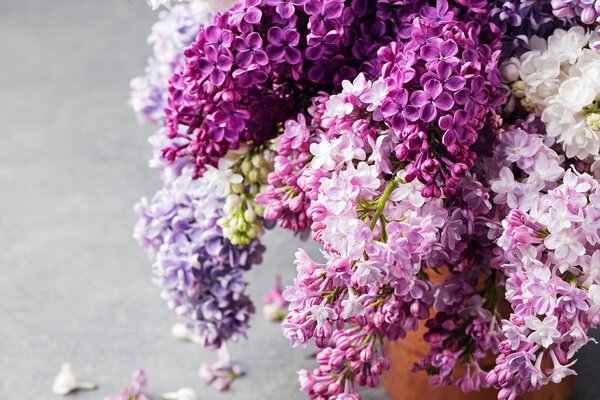 Tablou liliac în nuanțe de roz