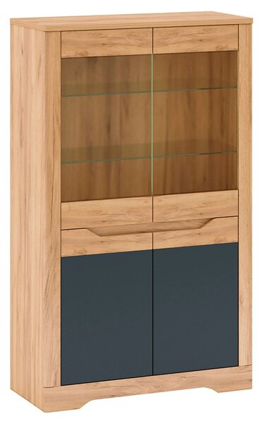 Vitrina FIDEL C, stejar artisan/gri grafit, PAL laminat, 95x42x160 cm
