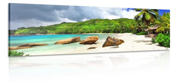 Tablou Seychelles tropical
