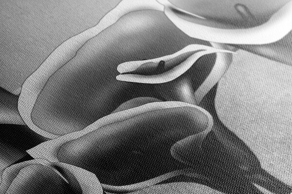 Tablou flori calla lilly elegante în design alb-negru