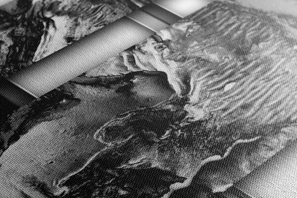 Tablou abstracție de lux în design alb-negru