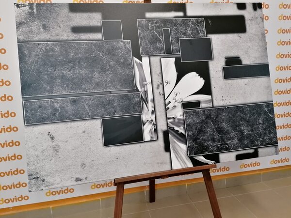 Tablou abstracție în design alb-negru