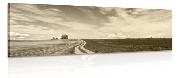 Tablou peisajul încăntător în design sepia