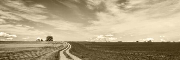 Tablou peisajul încăntător în design sepia