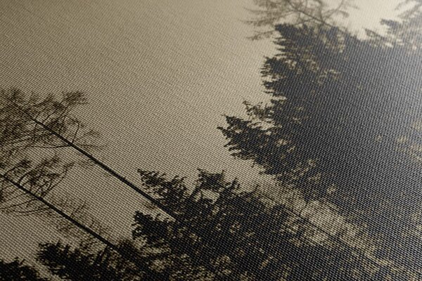 Tablou pădure în sepia