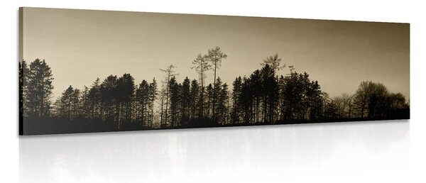 Tablou pădure în sepia