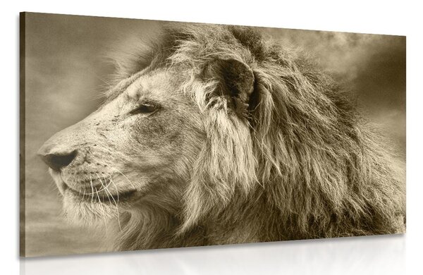 Tablou leu african în design sepia