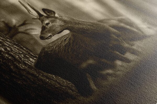 Tablou cerbul în pădure de pini în sepia