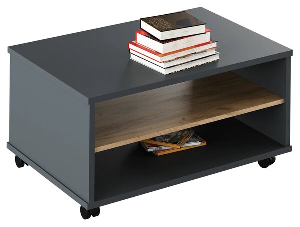 Masuta cafea RIOMA NEW TYP 32, gri grafit/stejar artisan, DTD laminat