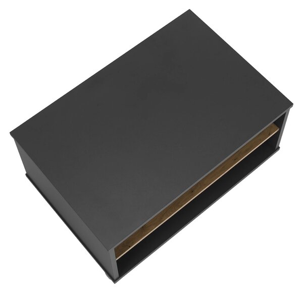 Masuta cafea RIOMA NEW TYP 32, gri grafit/stejar artisan, DTD laminat