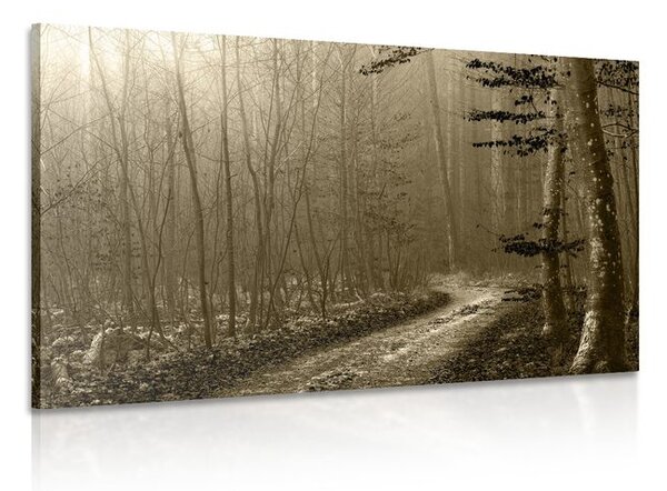 Tablou cărare sepia spre pădure