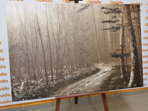 Tablou cărare sepia spre pădure