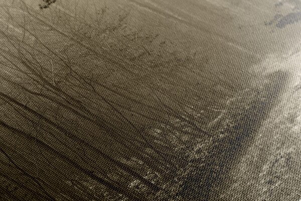 Tablou cărare sepia spre pădure