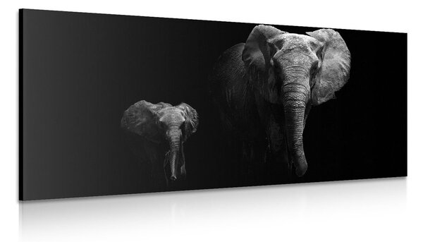 Tablou elefant mic si elefant feminin