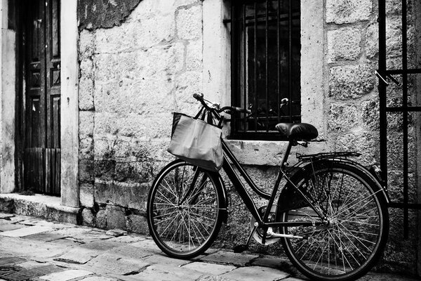 Tablou bicicleta retro în design alb-negru