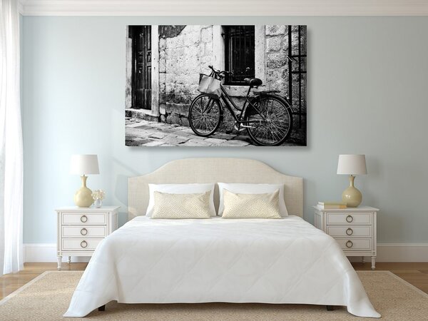 Tablou bicicleta retro în design alb-negru