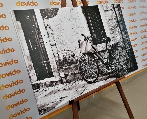 Tablou bicicleta retro în design alb-negru