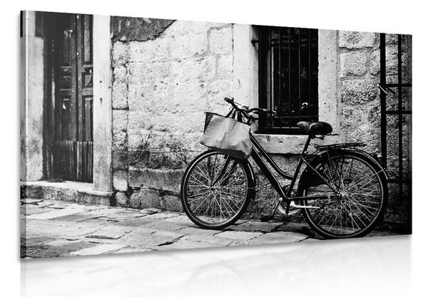 Tablou bicicleta retro în design alb-negru