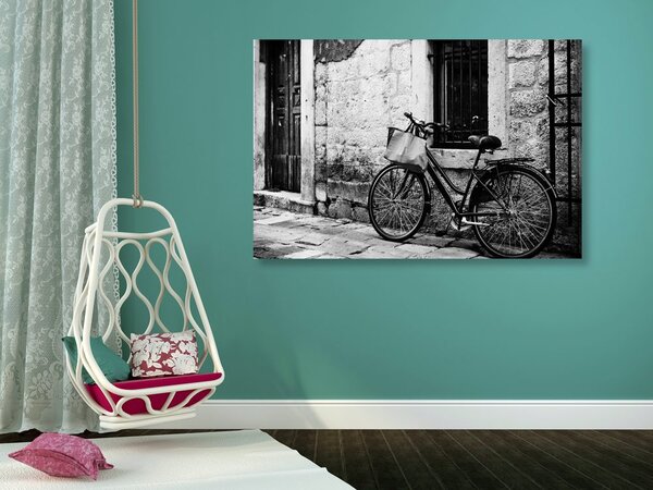 Tablou bicicleta retro în design alb-negru