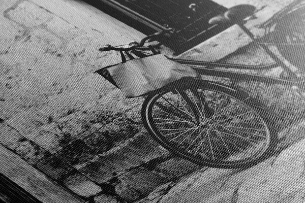 Tablou bicicleta retro în design alb-negru