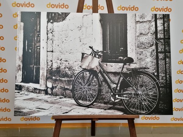 Tablou bicicleta retro în design alb-negru
