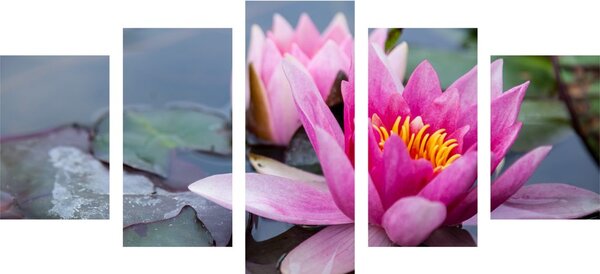 Tablou 5-piese floare de lotus roz
