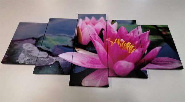 Tablou 5-piese floare de lotus roz