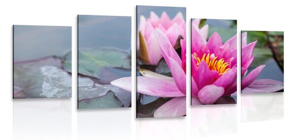Tablou 5-piese floare de lotus roz