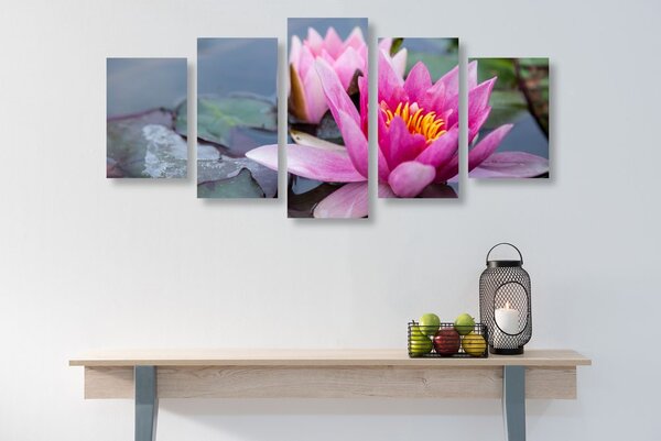Tablou 5-piese floare de lotus roz