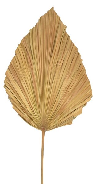 Decoratiune frunza Walsy Natural H135 cm
