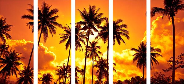 Tablou 5-piese palmieri de cocos pe plajă