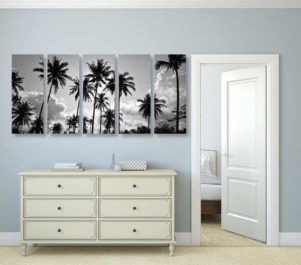 Tablou 5-piese palmieri de cocos pe plajă în design alb-negru