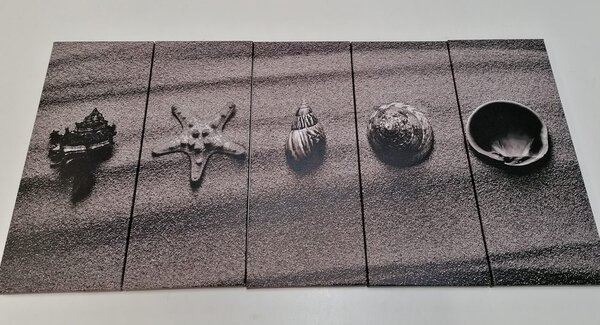 Tablou 5-piese scoici pe o plajă cu nisip în design alb-negru