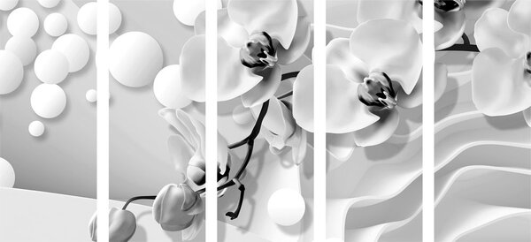 Tablou 5-piese orhidee în alb-negru pe un fundal abstract