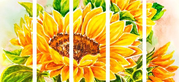Tablou 5-piese floarea-soarelui frumoasă
