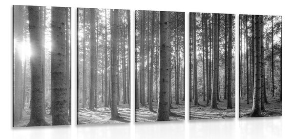 Tablou 5-piese dimineața în pădure în design alb-negru