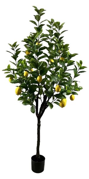 Planta decorativa Lemon tree Verde 180x180x180 cm