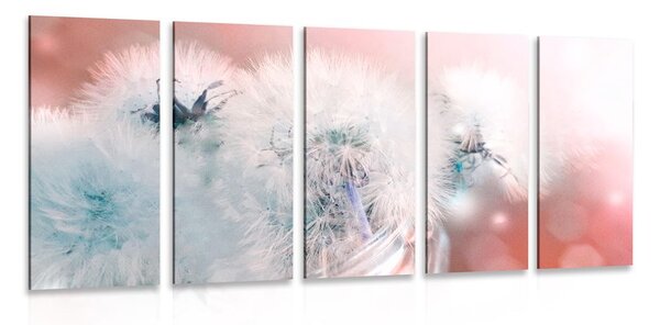 Tablou 5-piese păpădie cu elemente abstracte