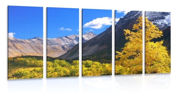 Tablou 5-piese natura frumoasă pe Kamchatka în Rusia