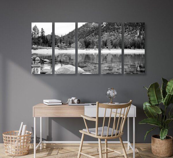 Tablou 5-piese lacul în natura frumoasă în design alb-negru