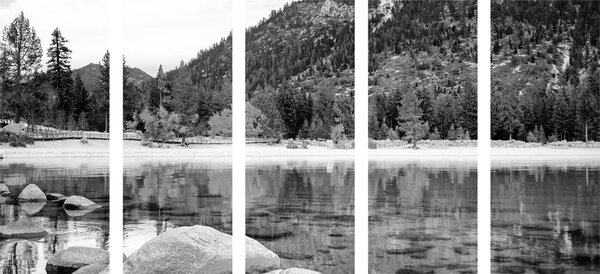Tablou 5-piese lacul în natura frumoasă în design alb-negru