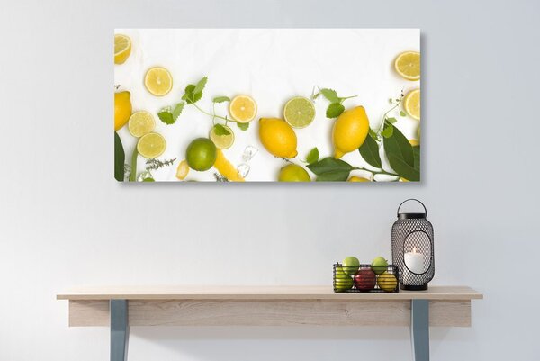 Tablou mix de fructe citrice