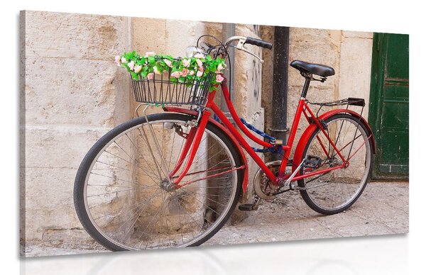 Tablou bicicletă rustică