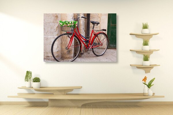 Tablou bicicletă rustică
