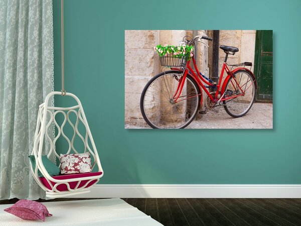 Tablou bicicletă rustică