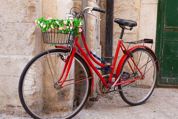Tablou bicicletă rustică